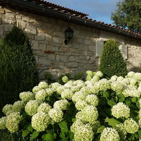 Les Nefliers Gite Céreste Exterior foto