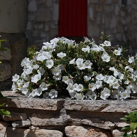 Les Nefliers Gite Céreste Exterior foto